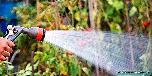 Wie man eine Pumpe für die Bewässerung des Gartens wählt, abhängig von der Wasserquelle