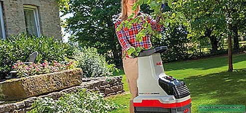 ¿Cómo elegir una trituradora de jardín? ¿Cuál es mejor comprar y por qué?