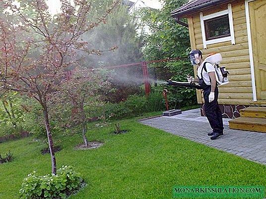 How to choose a garden sprayer: which models are available and which is better to purchase?