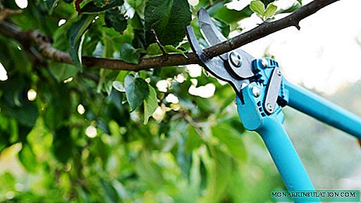 Cómo elegir una podadora para podar árboles: buscando las mejores tijeras de jardín