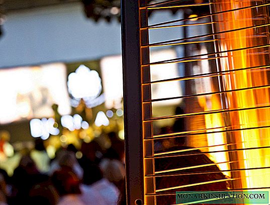How to choose a street gas heater for a summer residence: a short educational program