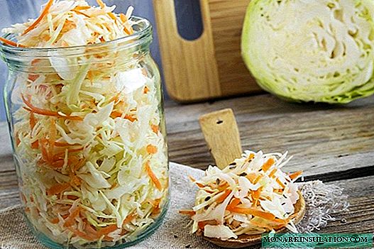 How to ferment juicy and crisp cabbage for all occasions