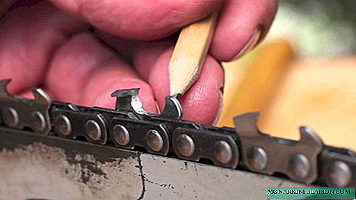 How to sharpen a chain of a chainsaw: instructions for working with grinding accessories