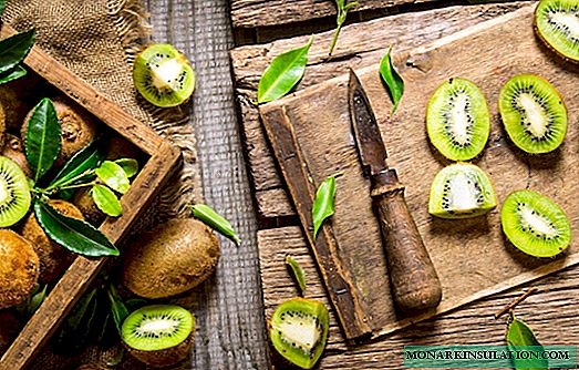 Kiwi - quel genre de fruit, comment pousse-t-il dans la nature et dans la culture