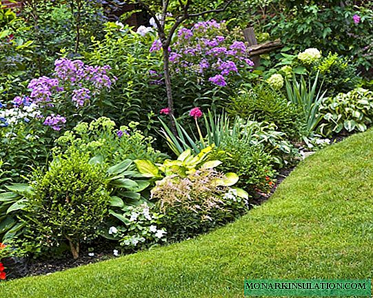 Perennial flowerbed: selection of flowers + design