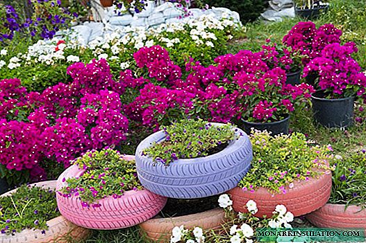 Flowerbeds from tires or how to make a masterpiece from an old wheel with your own hands