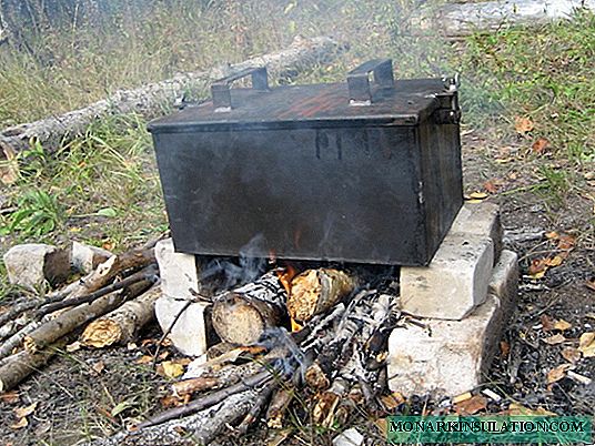 Dimnik za poletno kočo: možnosti oblikovanja za hladno in vroče kajenje