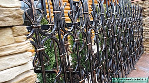 DIY geschmiedete Zäune: Wie macht man einen Zaun mit Schmiedeelementen?