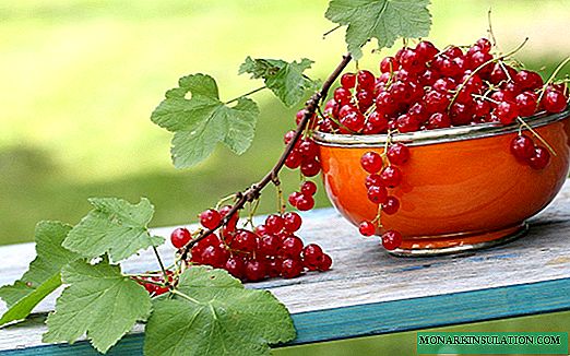 Red currant, including large-fruited: description of varieties, cultivation in the regions