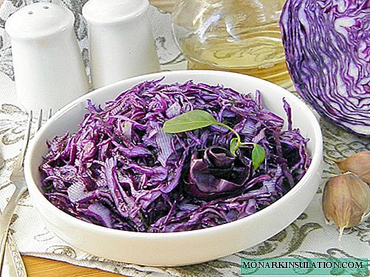 Red cabbage: the best varieties and recommendations for care