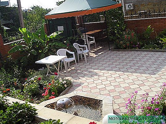 The best ideas for landscaping paved and concrete yards
