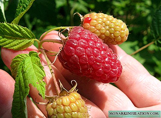 Raspberry Hat Monomakh - royal decoration of your site