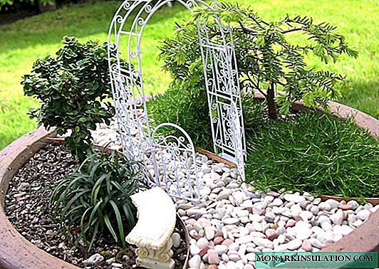 Črepníková mini-záhrada: kompozície miniatúrnych častí v uzavretom priestore