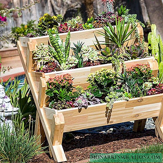 Multi-tiered and raised beds: rules for design