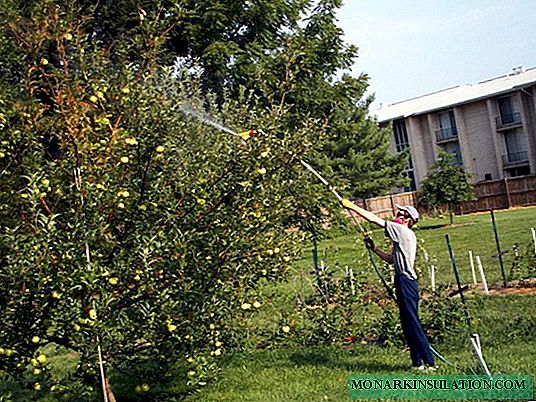 Apple tree treatment for diseases and pests