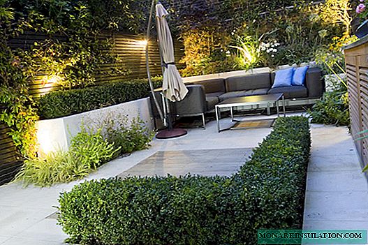 Equipamos el jardín al estilo minimalista: para los amantes de la estética lacónica.