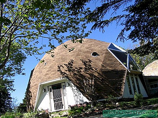 Visão geral dos edifícios de uma residência de verão, que podem ser construídos na forma de uma cúpula geodésica