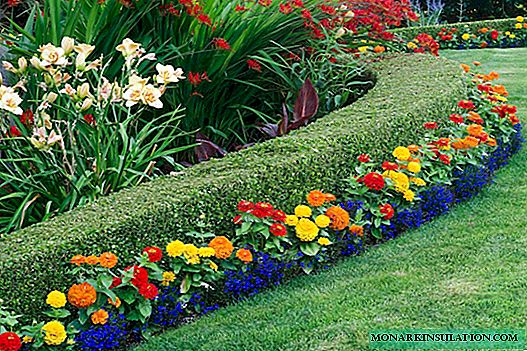 Making flower beds in the country with your own hands: basic rules and planting schemes