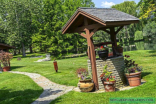 The design of the well in the country: six unusual design ideas