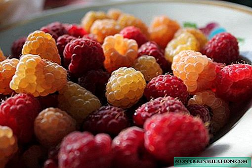 The basic rules for feeding raspberries: when, how, what