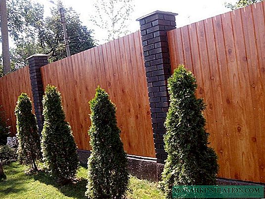 Features of the installation of a fence from a professional flooring with your own hands