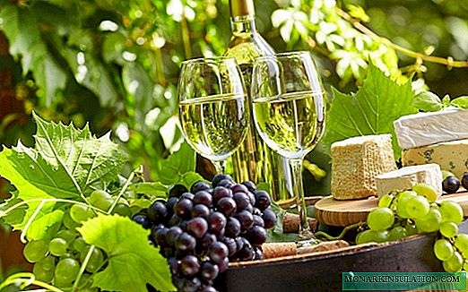 Caractéristiques de la culture des raisins Amur: arrosage, vinaigrette supérieure, lutte antiparasitaire