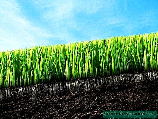 ما الذي يحدد خصوبة التربة أو كيفية رعاية التربة في البلاد