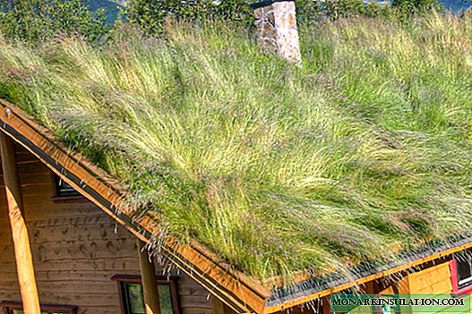 Jardinagem no telhado da casa do jardim: as regras do "gramado do telhado"