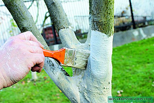 Appelbomen witwassen in het voorjaar: oplossingsopties en stapsgewijze instructies