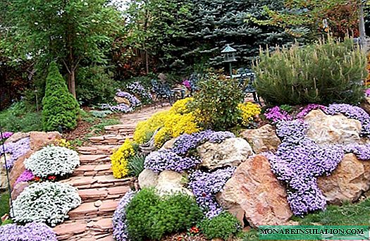 Selection of plants for an alpine hill: examples of varieties + decor rules