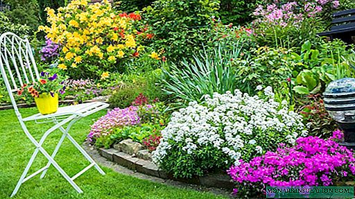 Satu pilihan skim untuk menanam katil bunga dari setiap tahun dan perennials