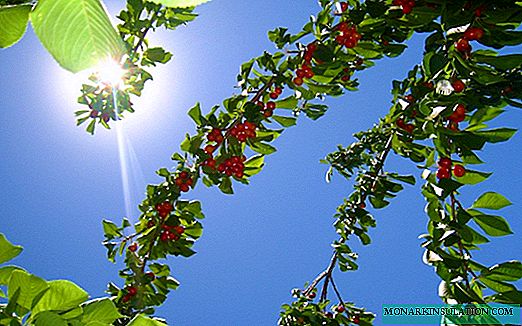 Cobertura de cerejas: fertilizantes básicos e regras para sua aplicação