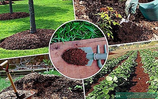 Useful compost: rules for laying and combining plant waste