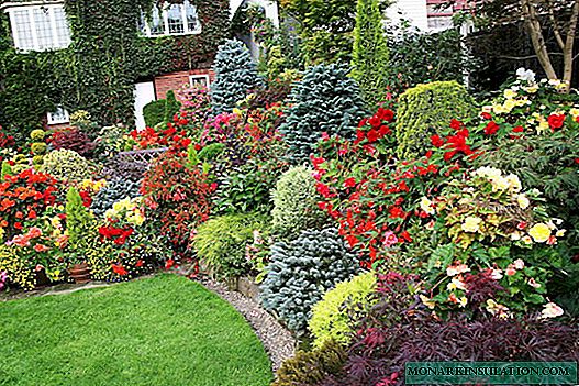 Step-by-step creation of a mixborder from perennials + a selection of ready-made schemes