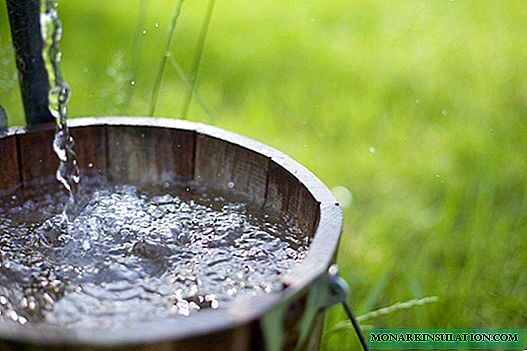 Regels voor het reinigen en desinfecteren van water in een put: elimineer troebelheid en bacteriën