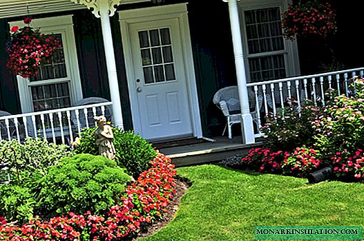Examples of designing beautiful flower beds and the rules for creating a good flower bed