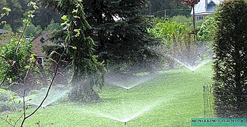 The principles of the device for automatic irrigation systems