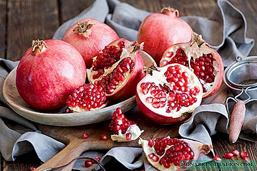 Growing pomegranates on the windowsill - an overview of popular indoor varieties