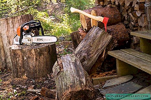 DIY chainsaw repair: analysis of the main breakdowns and methods for their elimination