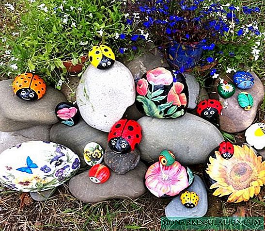 DIY stone painting in the garden: a storehouse of ideas + technology secrets