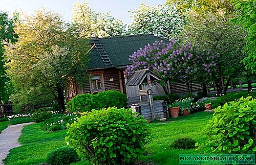 Country-style garden and cottage: how to turn a plot into an American farm?
