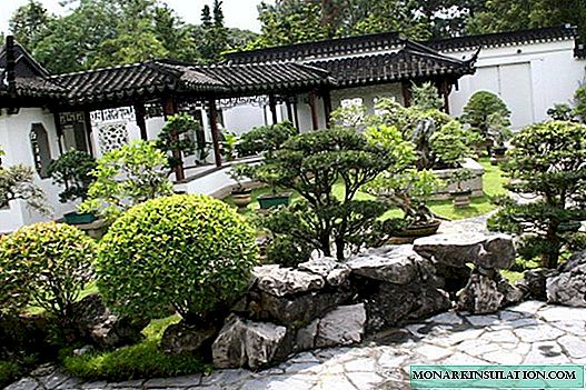 Chinese-style garden: techniques for creating harmony from Asian masters