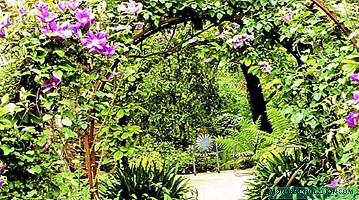 Arco de jardín para flores en el país: ideas de diseño + clase magistral paso a paso