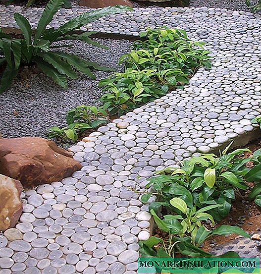 DIY garden paths: a selection of design ideas + step-by-step master classes