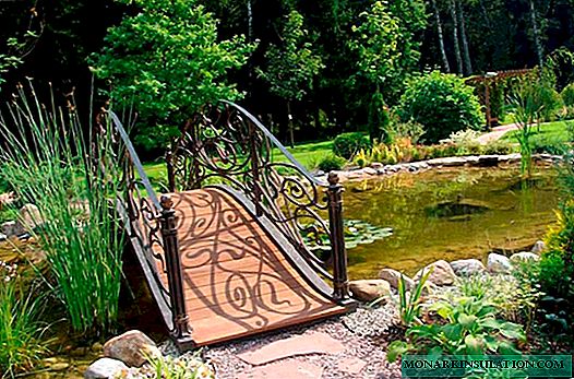 جسور الحديقة كعنصر تصميم موقع + ورشة عمل