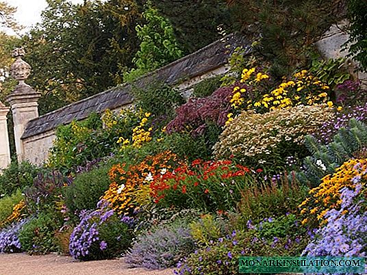 You need to mix it right: a mixborder in landscape design