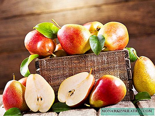 Jugosos regalos de verano: características de las variedades de peras de verano