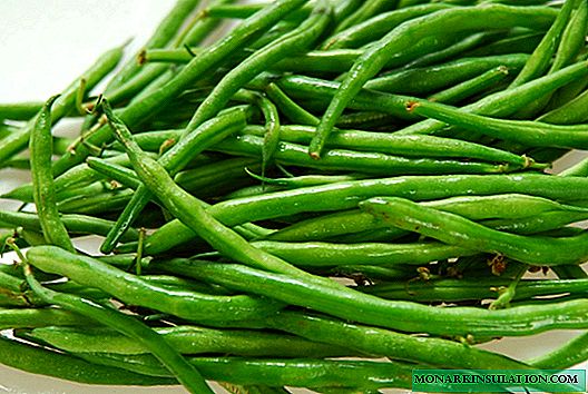 Asparagus beans: how to grow it yourself