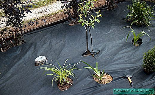 Ways to use geotextiles in landscape design and gardening