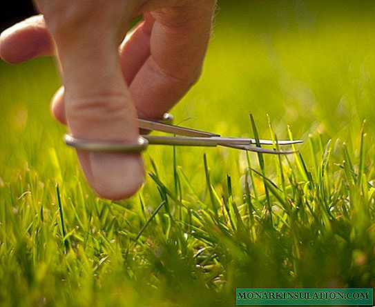 Examen comparatif de la lutte contre les mauvaises herbes: comment gagner une guerre dans le jardin